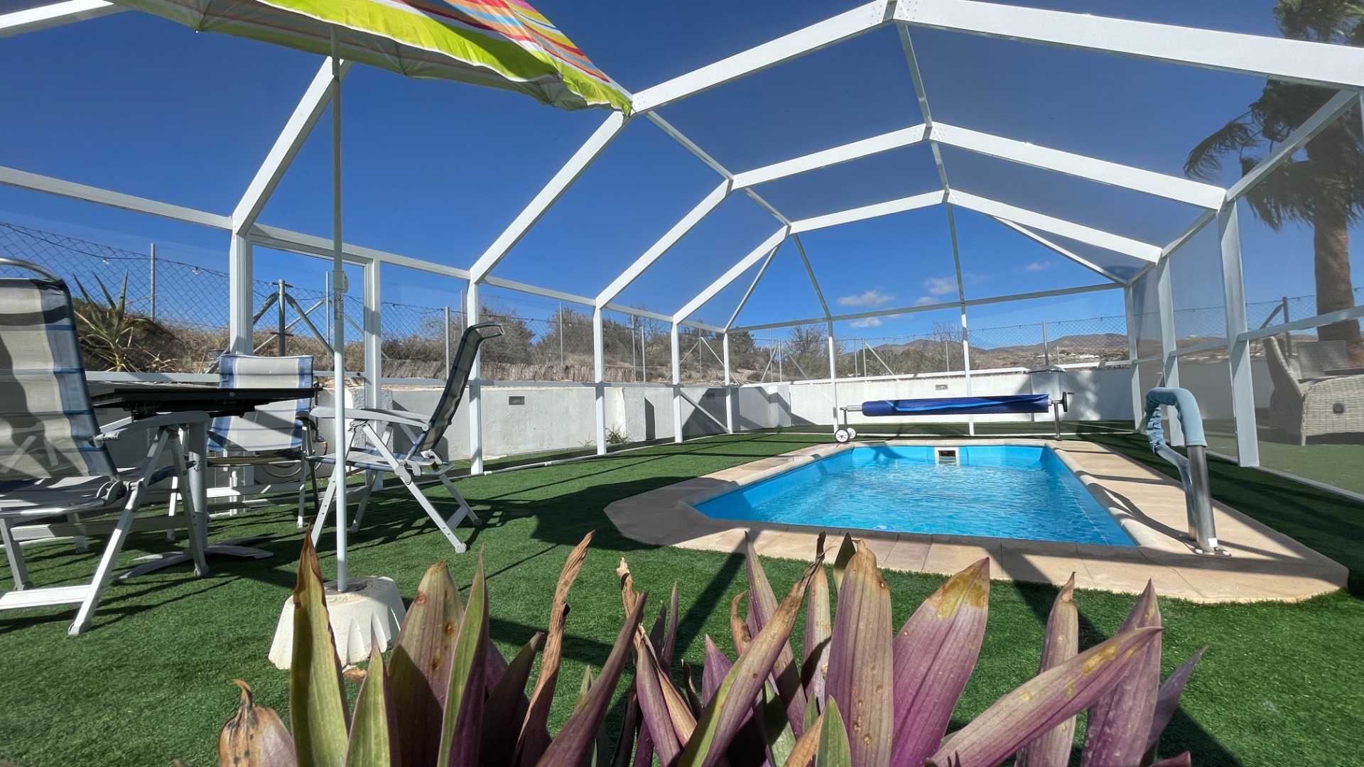 Pool under fly-free canopy